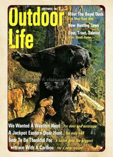 Hunting Dog Outdoor - ของตกแต่งผนังสำนักงาน ป้ายโลหะลายหมีและสุนัขล่าสัตว์ 1967 Outdoor Life