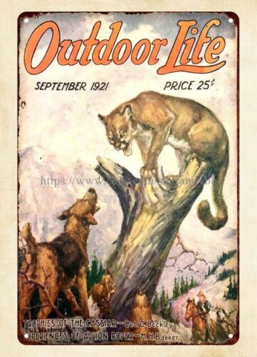Hunting Dog Outdoor - ป้ายโลหะลายปกนิตยสาร OUTDOOR LIFE ปี 1921 ลายสุนัขล่าสัตว์ป่า