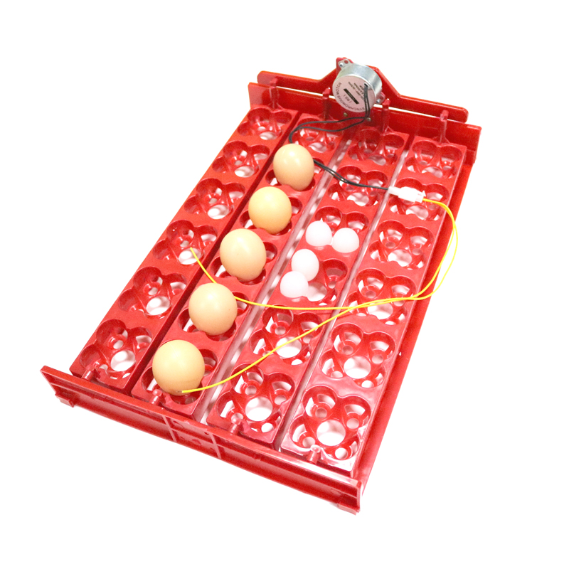 ถาดฟักไข่ 24 ฟอง/96 ฟอง ไข่นกก - Hunting Quail บทวิจารณ์และราคา