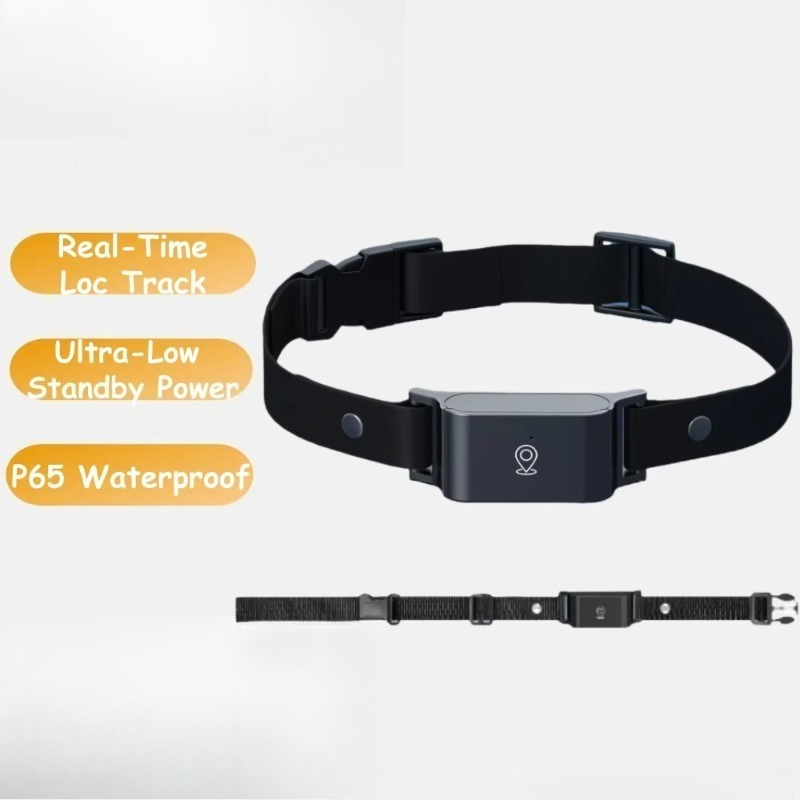 เครื่องติดตาม GPS สำหรับสุนัข  - Hunting Dog Outdoor บทวิจารณ์และราคา